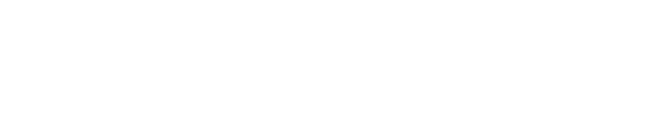 OLIVGRAY CAPITAL
